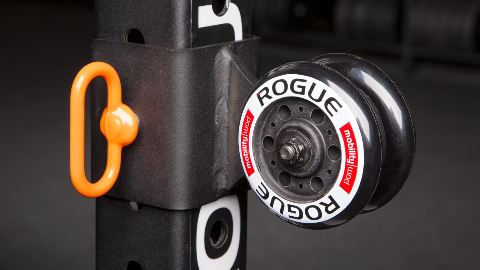 Rogue fitness wrist roller outlet